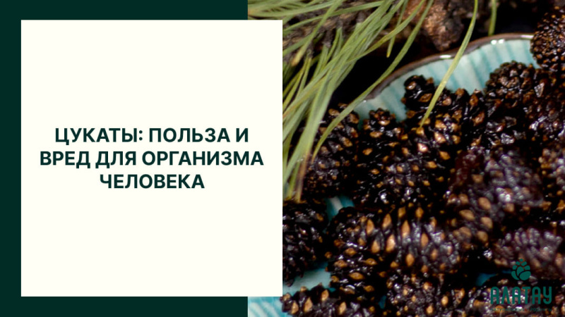 Цукаты: польза и вред для организма человека