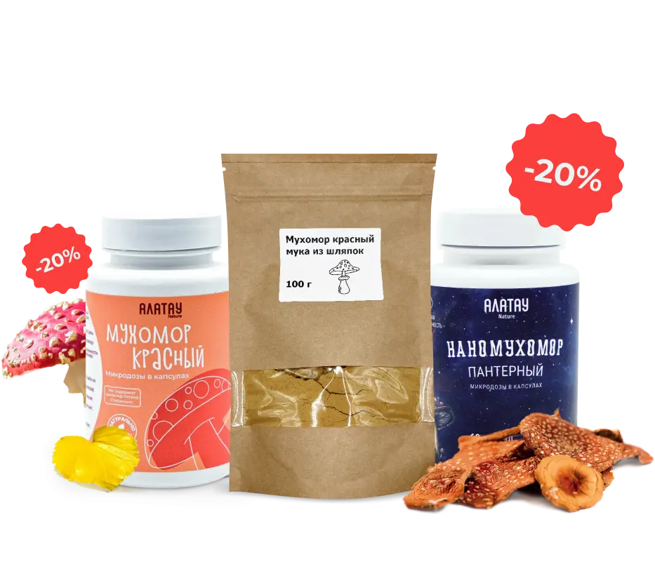 ТОЛЬКО В ИЮНЕ — СКИДКА 20%